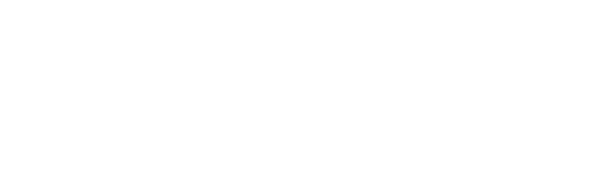 Logo white