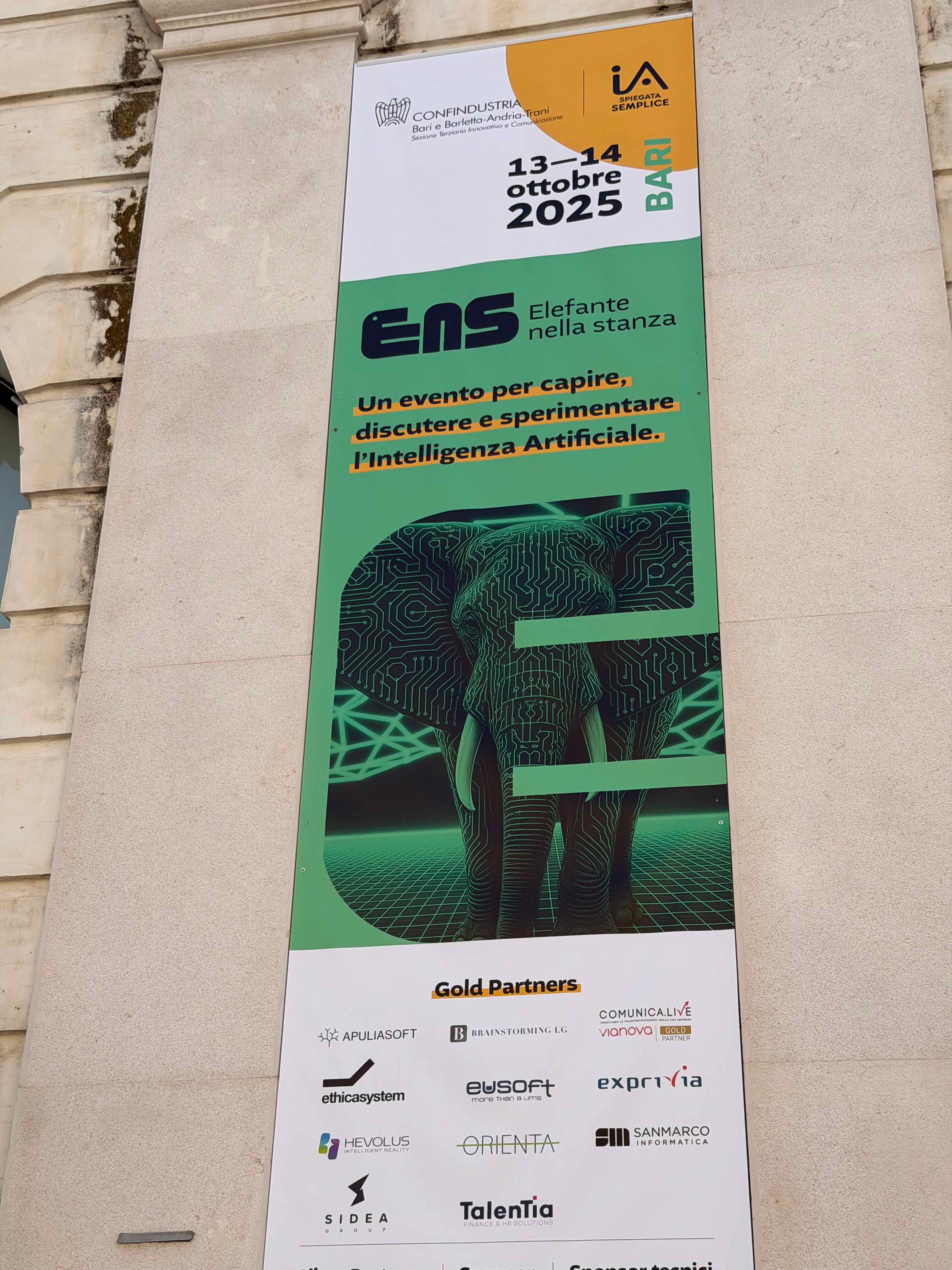 elefante nella stanza